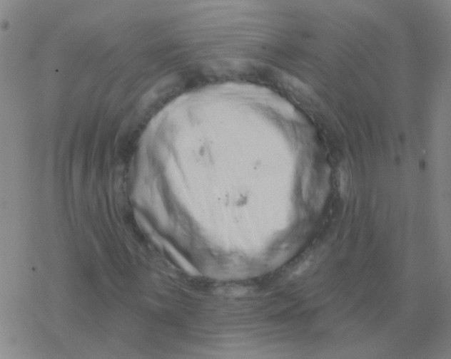 X0000076321059200610271958