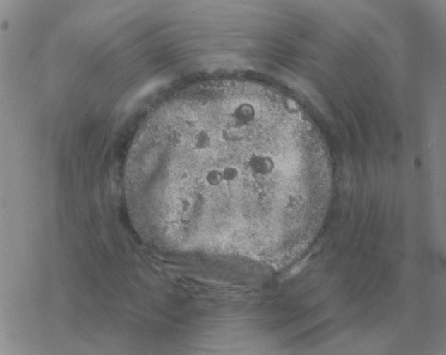 X0000076321063200610271958