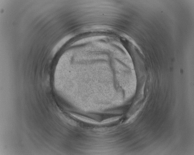 X0000076321066200610271958