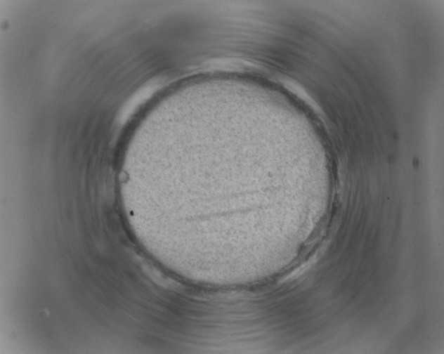 X0000076321067200610271958