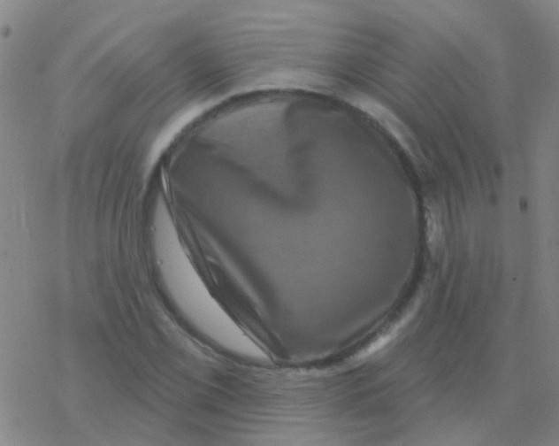 X0000076321069200610271958