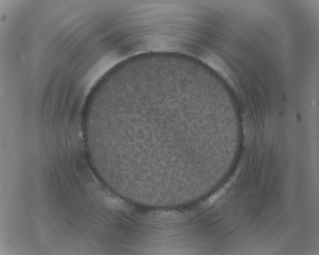 X0000076321070200610271958