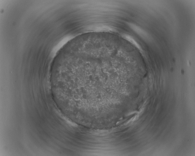 X0000076321071200610271958