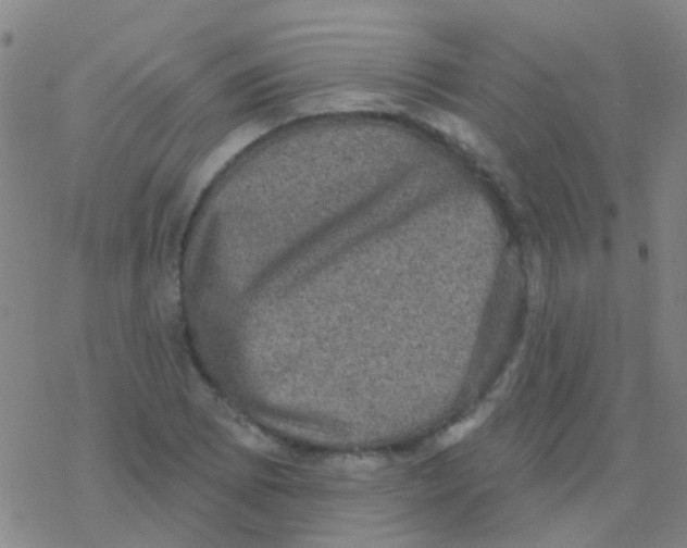 X0000076321073200610271958