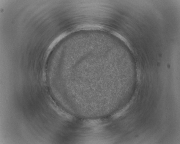 X0000076321074200610271958