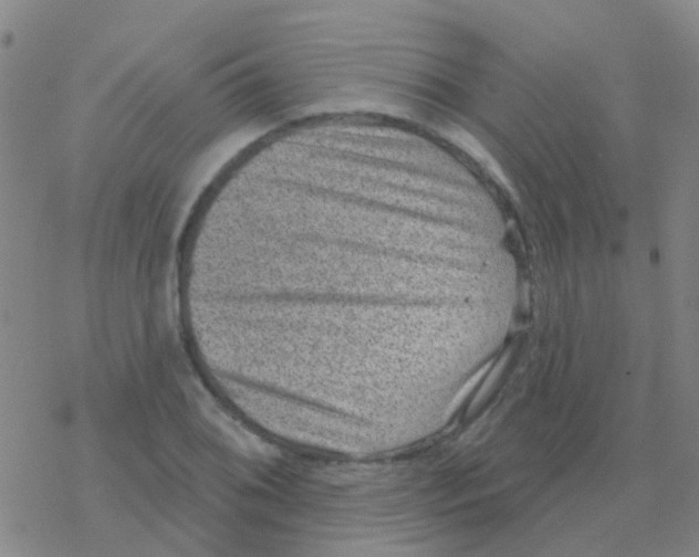 X0000076321076200610271958