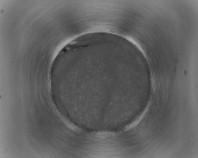 X0000076321077200610271958