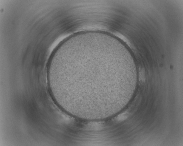 X0000076321078200610271958