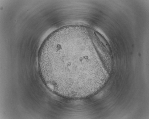 X0000076321079200610271958