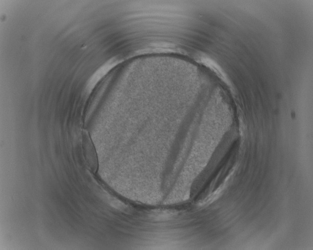 X0000076321081200610271958