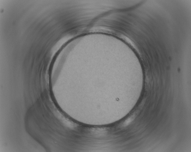 X0000076321082200610271958