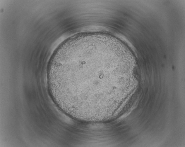 X0000076321083200610271958