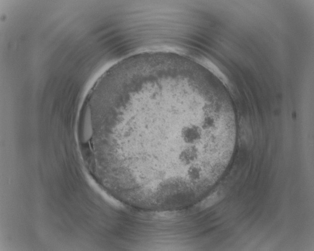 X0000076321084200610271958