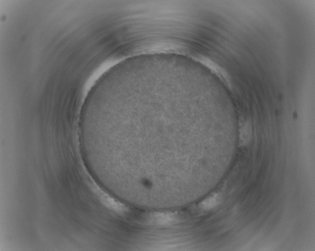 X0000076321086200610271958