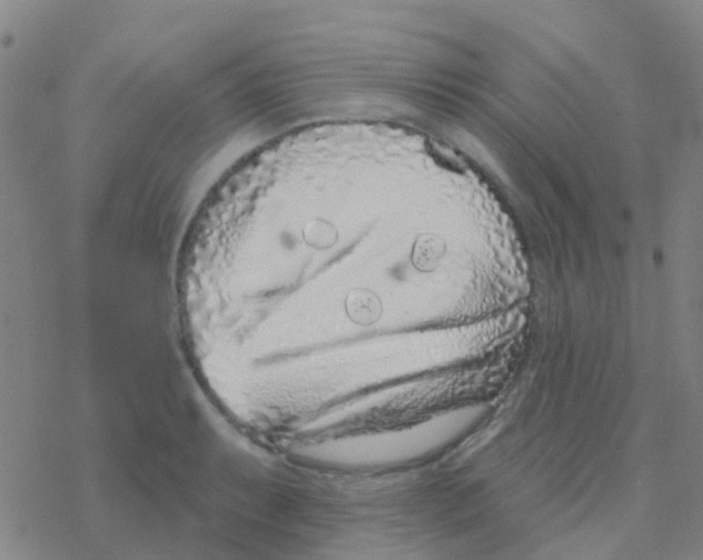 X0000076321087200610271958