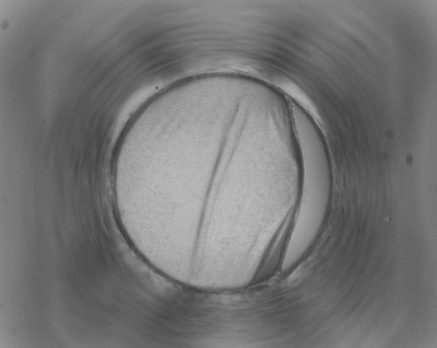 X0000076321088200610271958