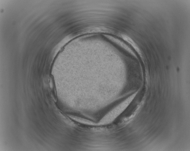 X0000076321089200610271958