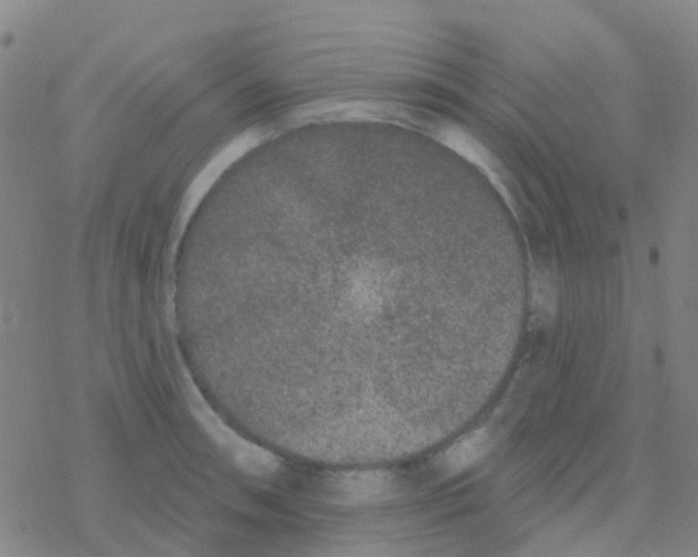 X0000076321090200610271958