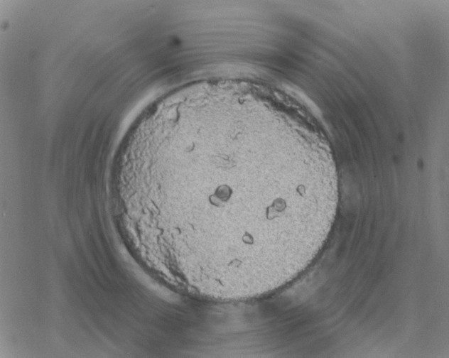 X0000076321091200610271958