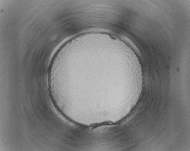 X0000076321092200610271958