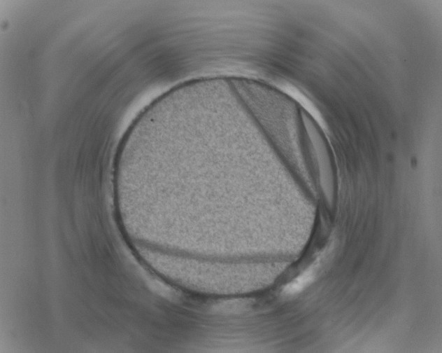 X0000076321093200610271958