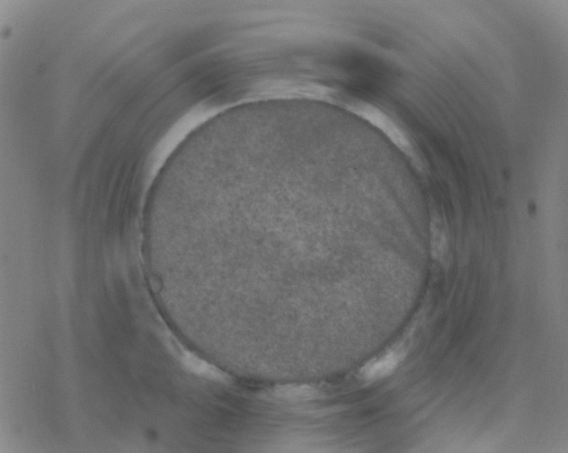 X0000076321094200610271958