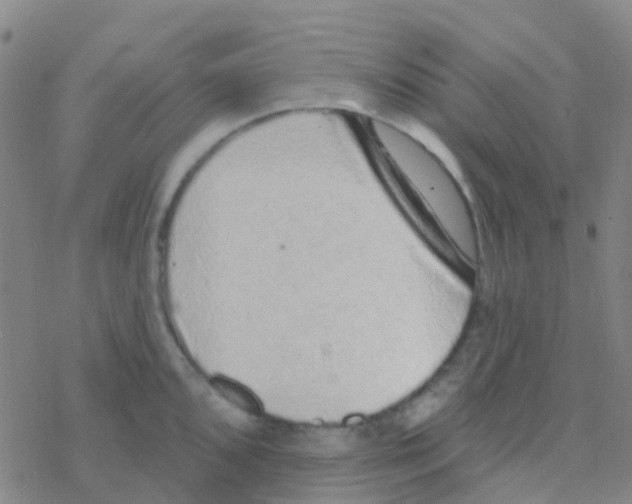 X0000076321096200610271958