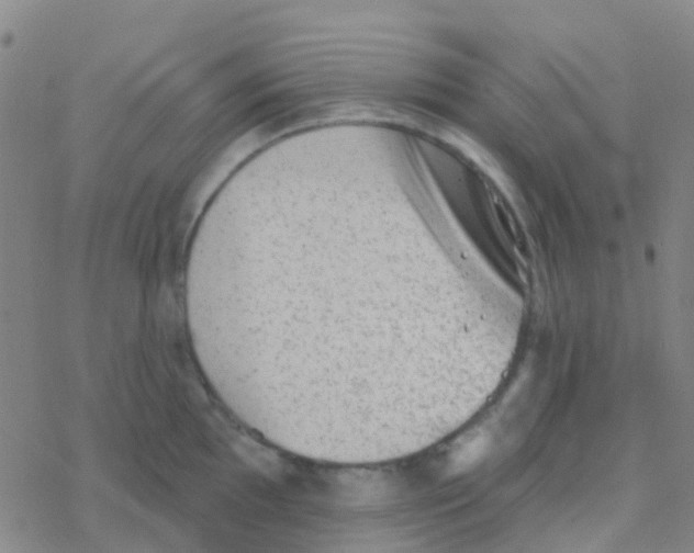 X0000076321097200610271958