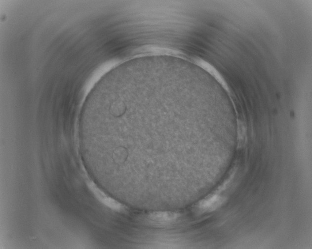 X0000076321098200610271958