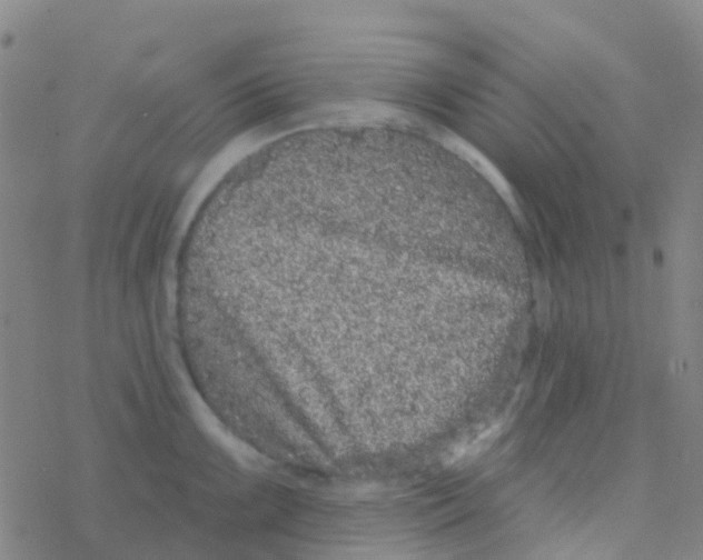 X0000076321099200610271958