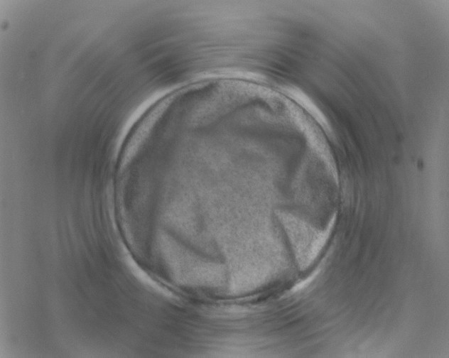 X0000076321100200610271958