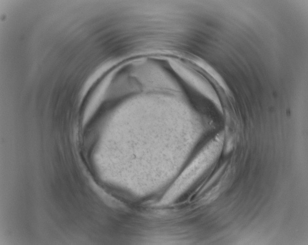 X0000076321101200610271958