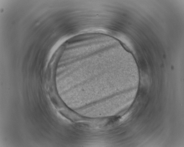 X0000076321102200610271958