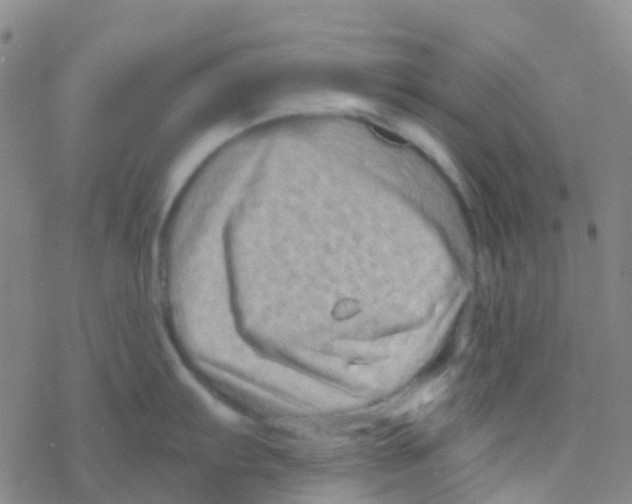 X0000076321103200610271958