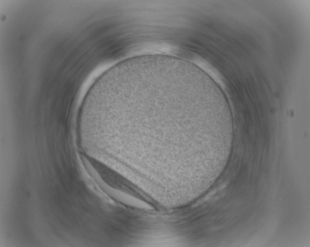 X0000076321104200610271958