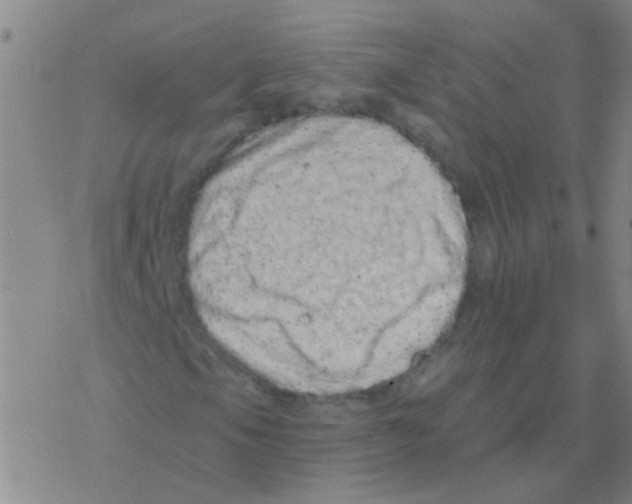 X0000076321105200610271957