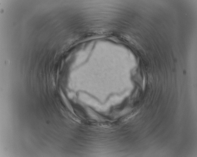 X0000076321106200610271957