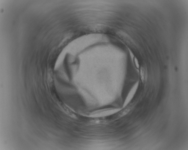 X0000076321107200610271957