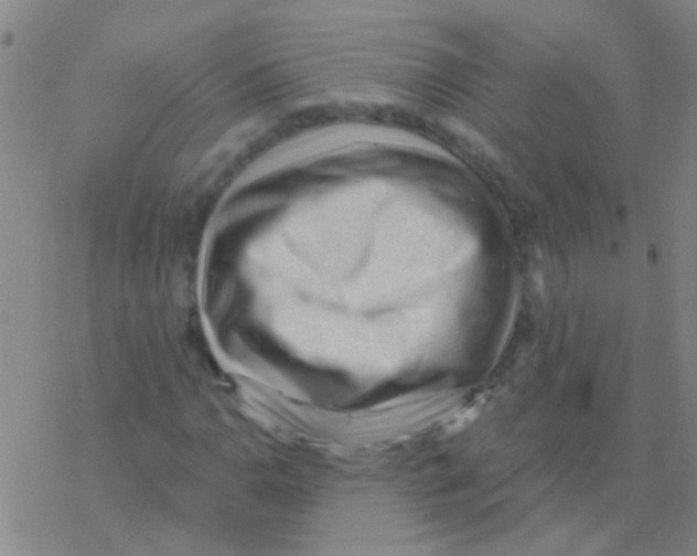 X0000076321110200610271957