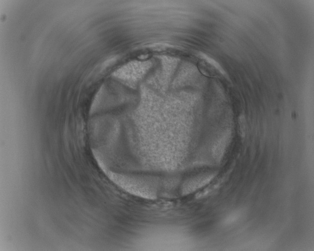 X0000076321111200610271957