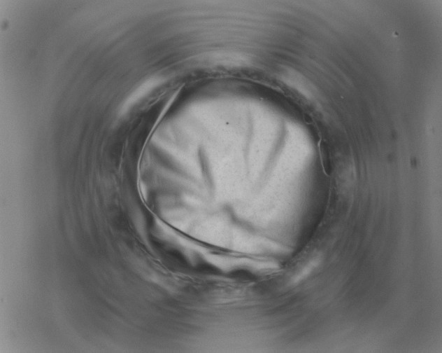 X0000076321112200610271957