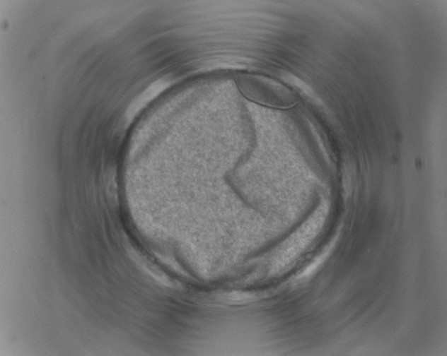 X0000076321113200610271957