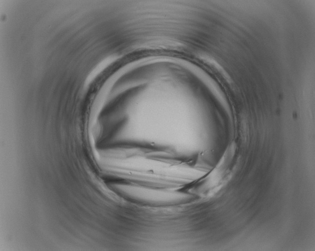 X0000076321114200610271957