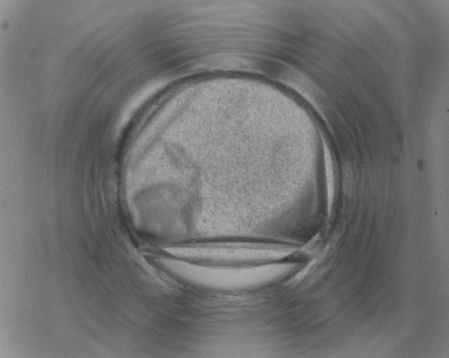 X0000076321115200610271957