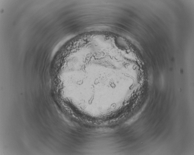 X0000076321117200610271957