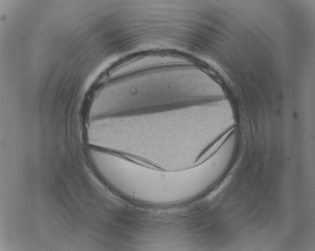 X0000076321118200610271957