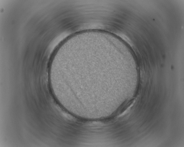 X0000076321119200610271957