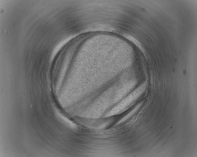 X0000076321120200610271957