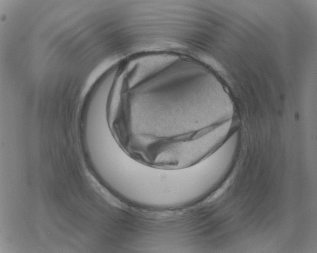 X0000076321122200610271957