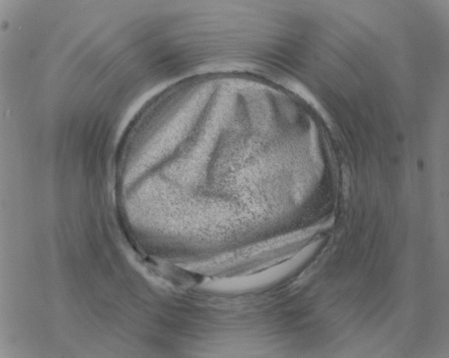 X0000076321124200610271957